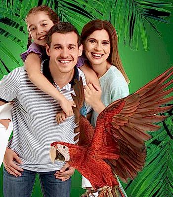 Anne ve Baba + 1 Çocuk