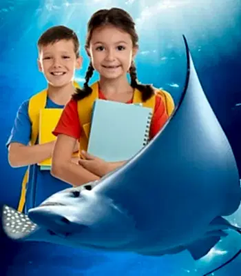 Yıllık Üyelik Öğrenci