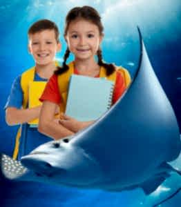 Yıllık Üyelik Öğrenci